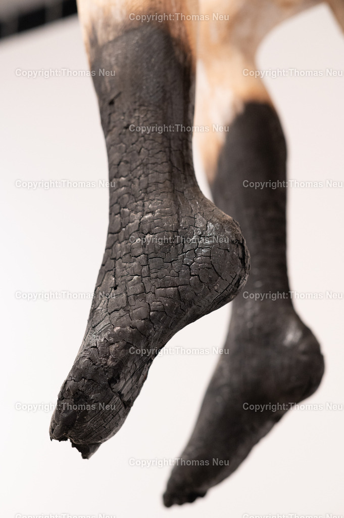 DSC_9240 | Museum Bensheim, Ausstellung Jochen Walpoth, 