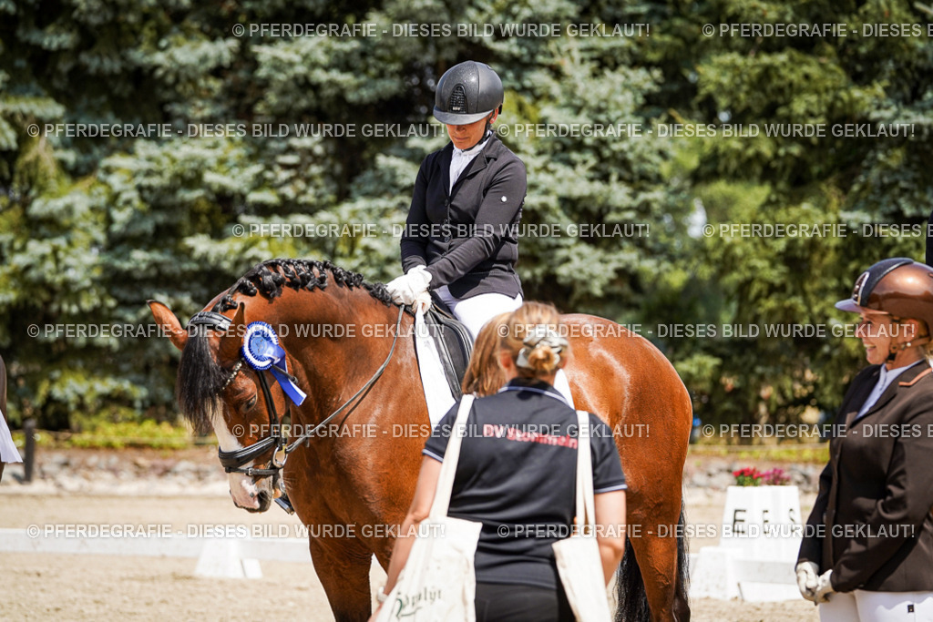 DSC01766 | Pferdegrafie