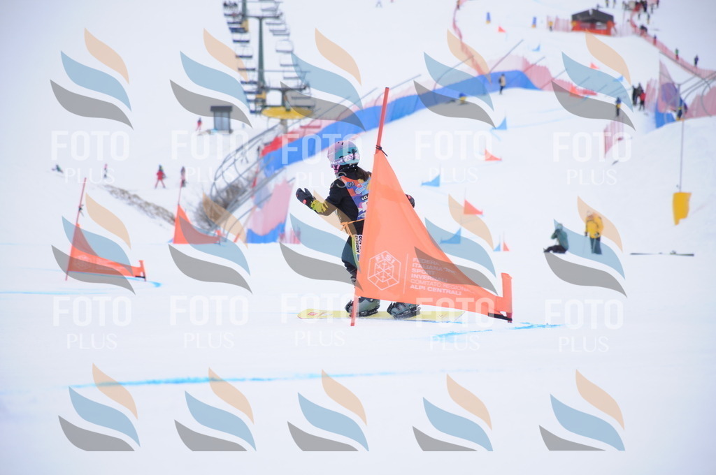 DSC_9877 | holidayphoto