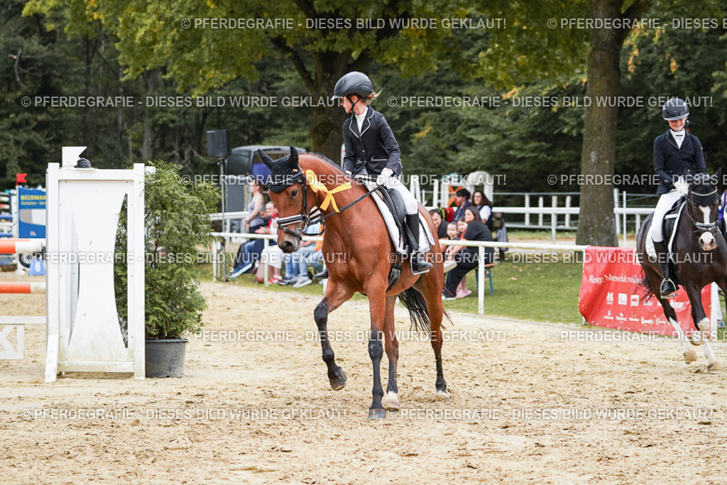 DSC06155 | Pferdegrafie