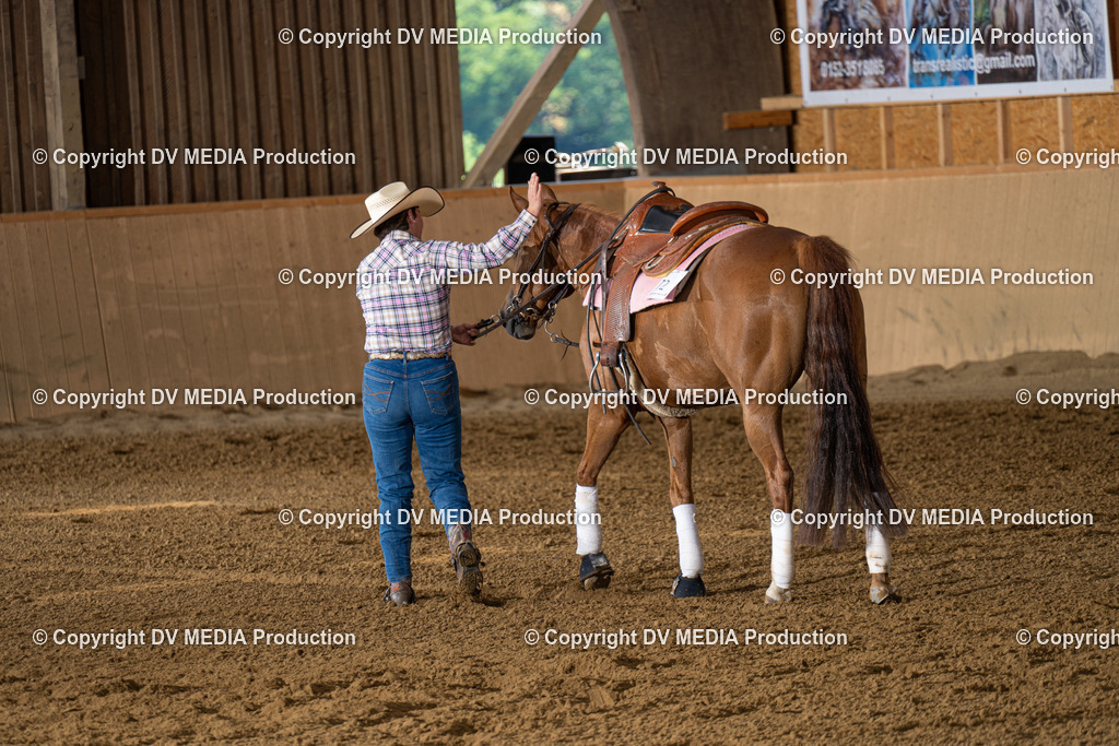 DSC00129 | dv-media-shop - Realisiert mit Pictrs.com