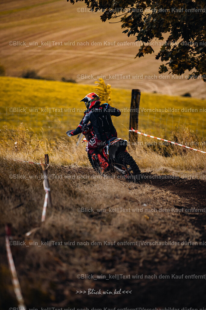 E68A3219 | blick_win_kel