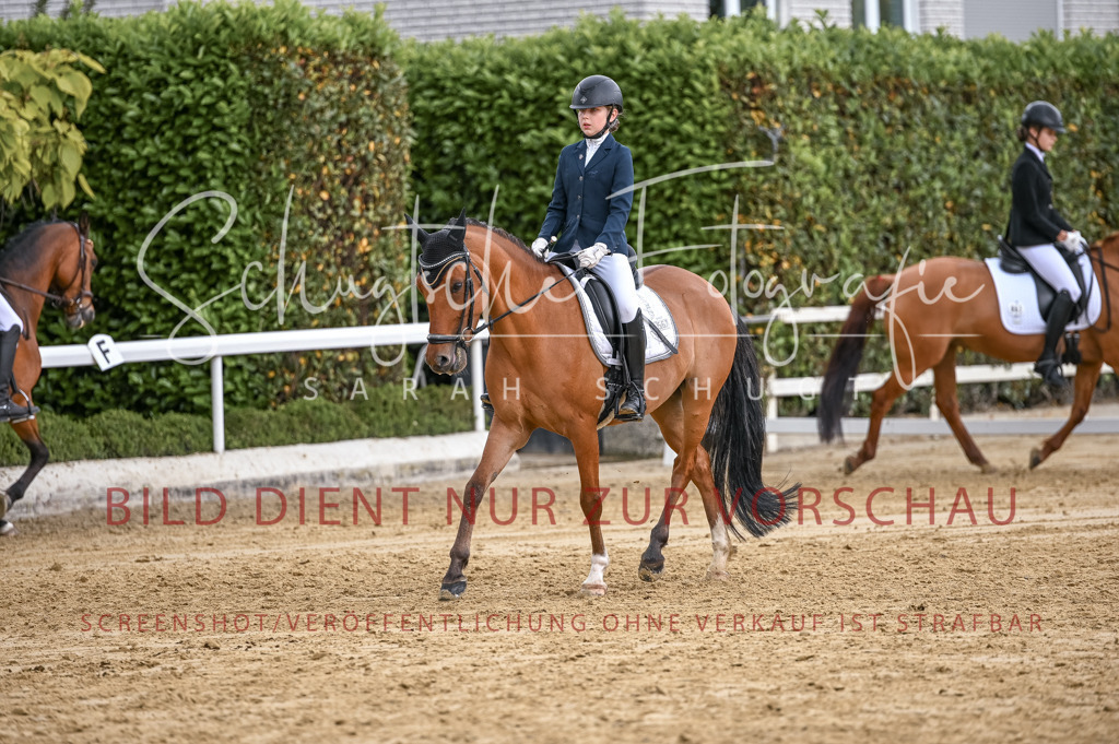 Schugtsche-Aluta25-43.EDressur -181 | Schugtsche Fotografie - Realisiert mit Pictrs.com