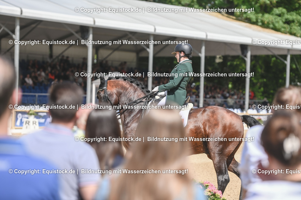 D78_2909 | equistock