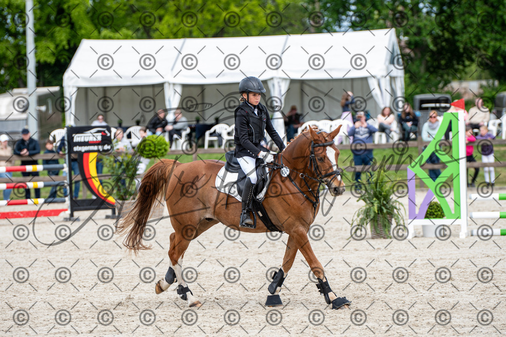 KPT_6003 | andre_photographic