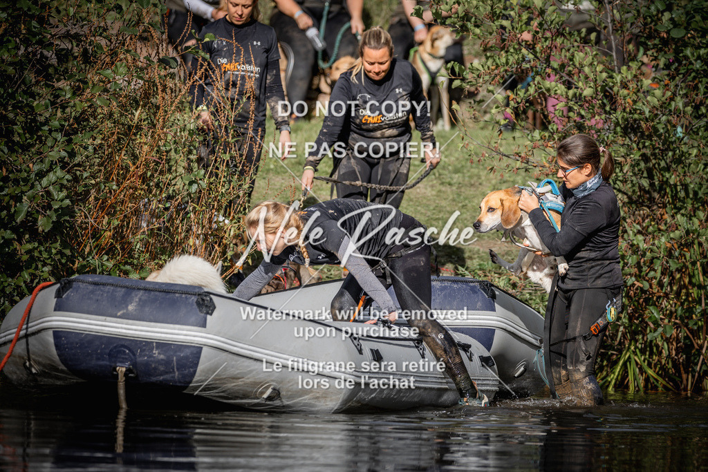 nelerasche_Sa1545-Ende_050 | nelerasche