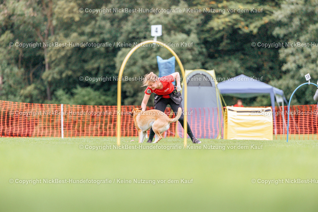 BSP Hoopers-H2-2026-Nickbest-Hundefotografie-TuS Komet Arsten e.V.-3425 | Dein Hund! Dein Moment! Deine Erinnerungen! Hundefotografie in Bremen Blumenthal. Ich fange die besonderen Momente deines Vierbeiners ein – ob Indoor mit Blitzanlage oder in der freien Natur. Sicher dir dein Moment und dein Termin für eure Erinnerungen.