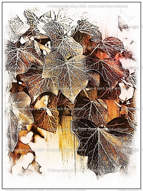 titusgraphy_P4045808-vz-ln_pe_pe-12 | titusgraphy-shop: Geschenkideen mit Qualitätsfotos. titusgraphy-shop: gift ideas with quality photos. titusgraphy-shop: idées cadeaux avec photos de qualité.  - Realisiert mit Pictrs.com