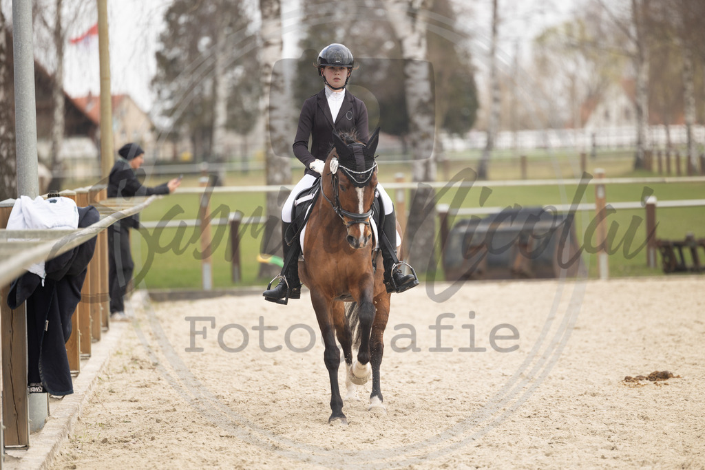 994A8699 | sabrinanicolaifotografie - Realisiert mit Pictrs.com