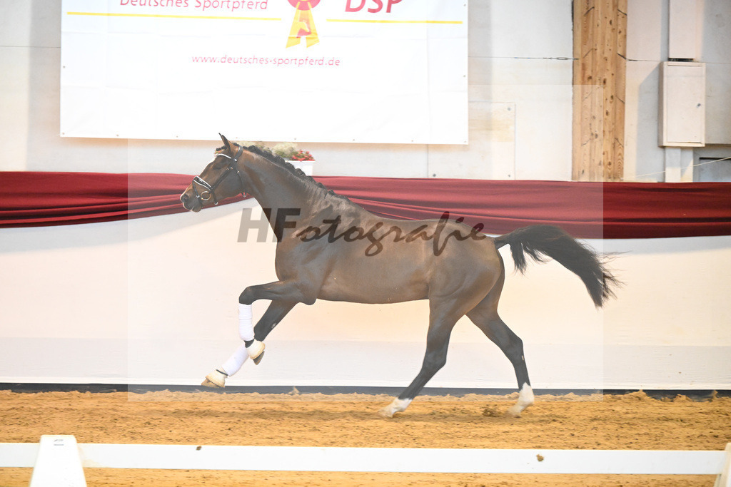 Kat-Nr. 59 v. Zalando_Kuntz_66222239 | hf-fotografie - Realisiert mit Pictrs.com