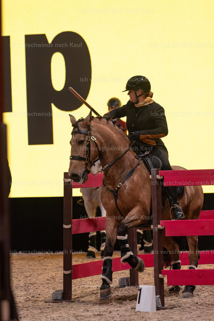 JoseraCup-225 | working equitationturnier fotograf videograf stoibphotography marixx film working equitation deutschland reitsport turnierfotografie eventfotografie equestrian events