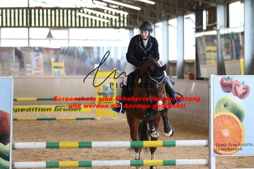 IMG_5378 | lmwpictures - Realisiert mit Pictrs.com