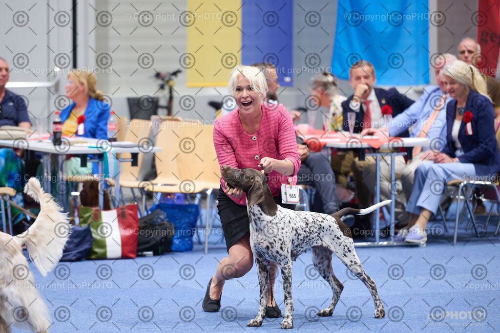 202406_ÖKV-IHA-Tulln24_DSC_3145 | proPHOTO - Realisiert mit Pictrs.com