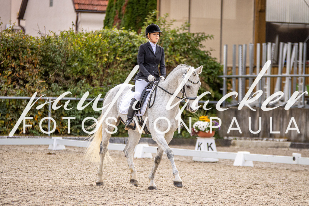 IMG_3128 | Erleben Sie dynamische Sport- und emotionale Tierfotografie in Süddeutschland mit Fotos von Paula. Spezialisiert auf Pferde- und Hundefotografie sowie Sportevents. Kontaktieren Sie mich für einzigartige und ausdrucksstarke Bilder Ihrer besonderen Momente. - Realisiert mit Pictrs.com
