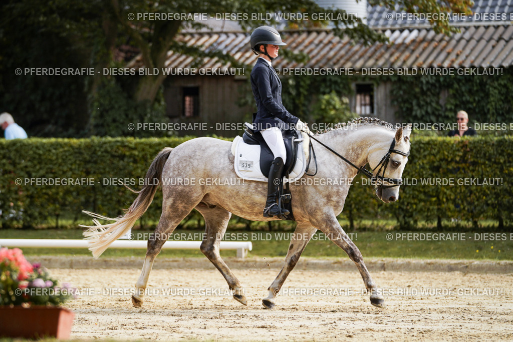 DSC04873 | Pferdegrafie