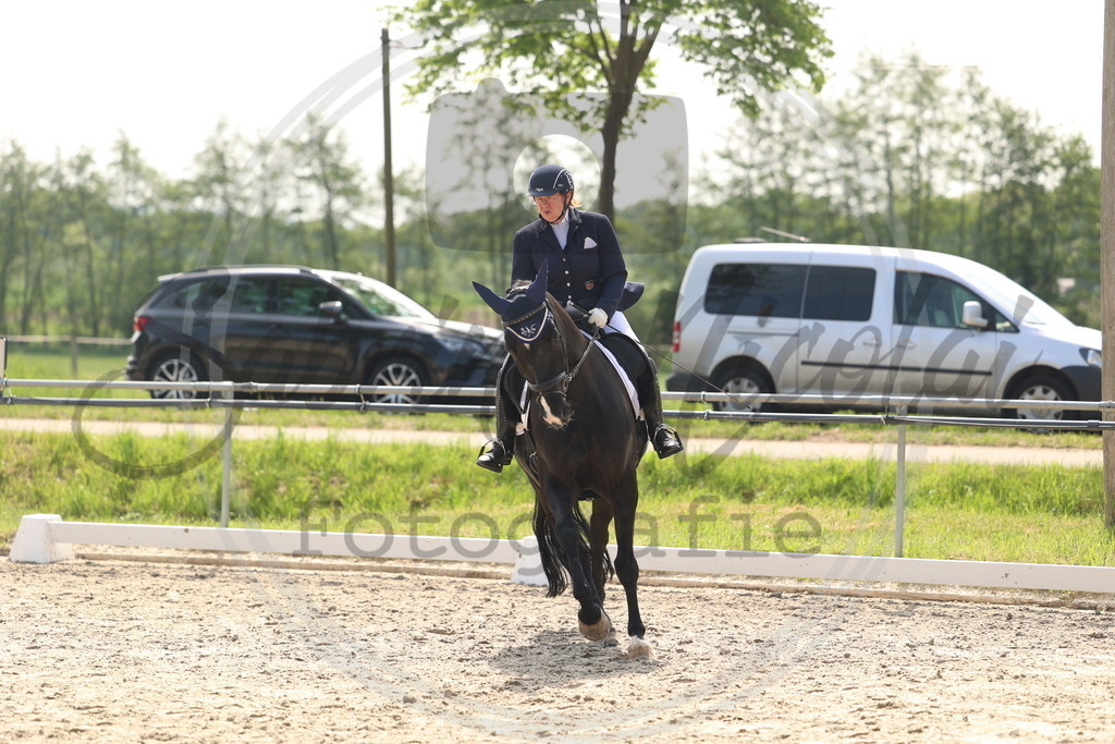 994A6648 | sabrinanicolaifotografie - Realisiert mit Pictrs.com