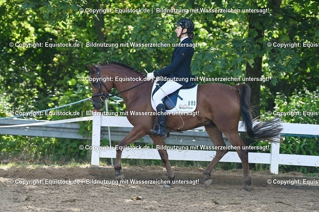 20230716_04_Dressurreiterprüfung Kl.A_0190 | equistock