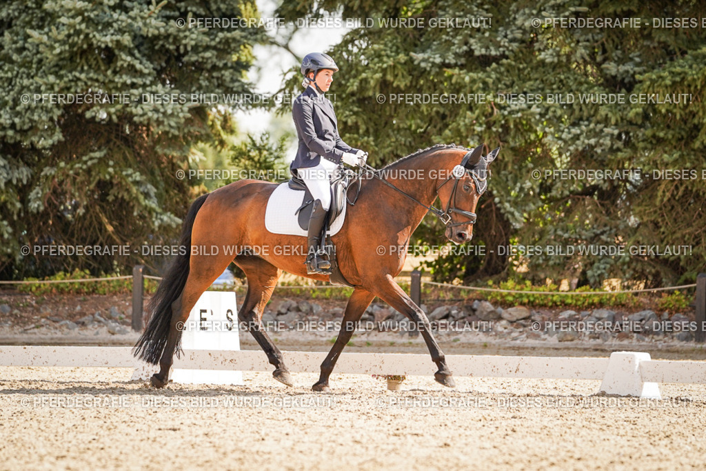 DSC00946 | Pferdegrafie