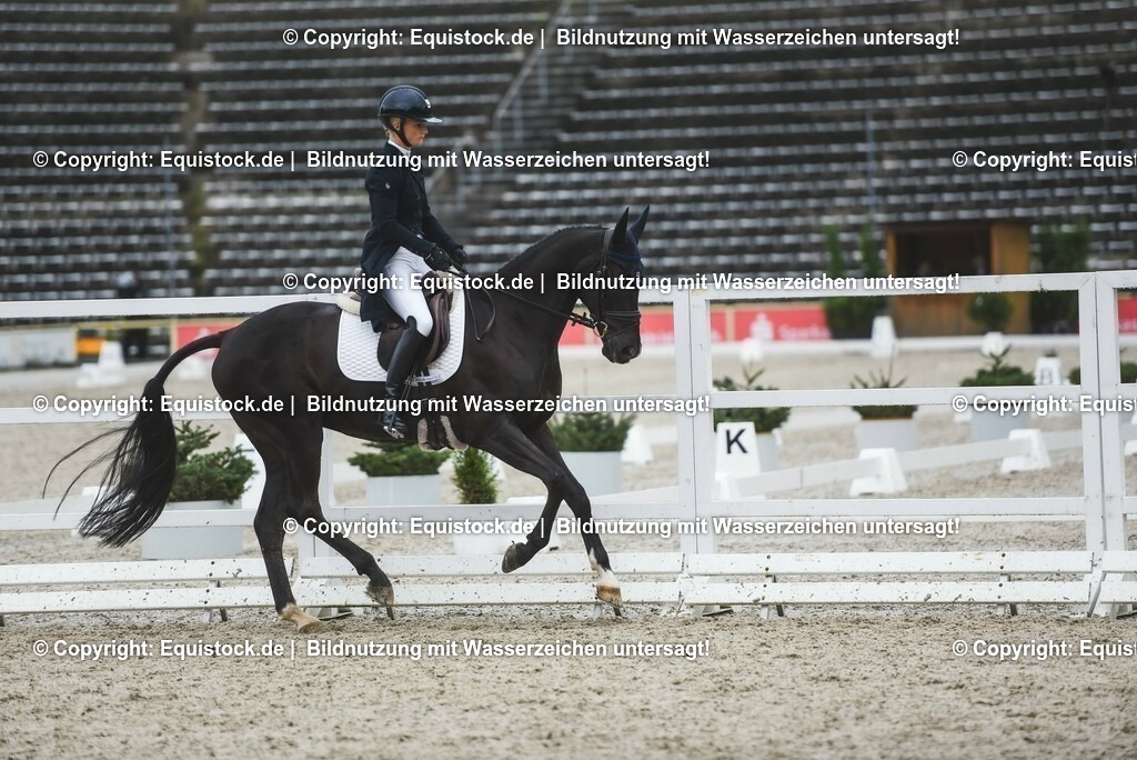 20230512_Impression_0007 | equistock