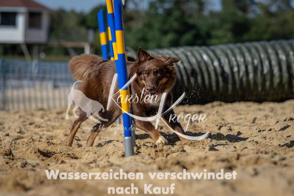 1233_ZZ93359-2 | kk-dogfotos