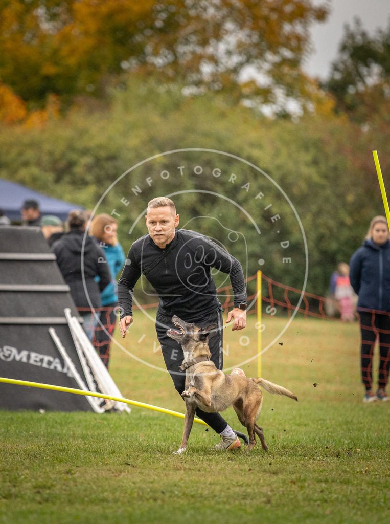 Pfotenfotografie_DV3A7284 | Hundefotografie, Tierfotograf, Pfotenfotografie, Fotoshooting Hund, Hunde Portrait, Hundesport, Hundeportraits, Heideshooting, Hunde, Sportfotograf, Hundefotograf, Turnierhundsport, THS,  - Realisiert mit Pictrs.com
