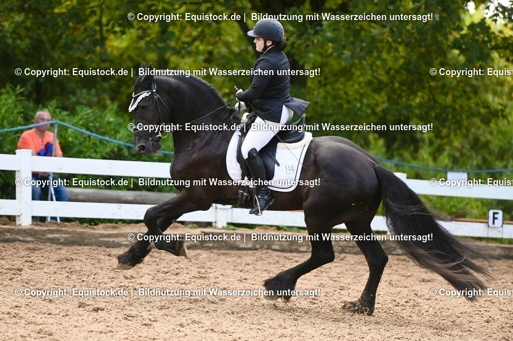 20230716_04_Dressurreiterprüfung Kl.A_0379 | equistock