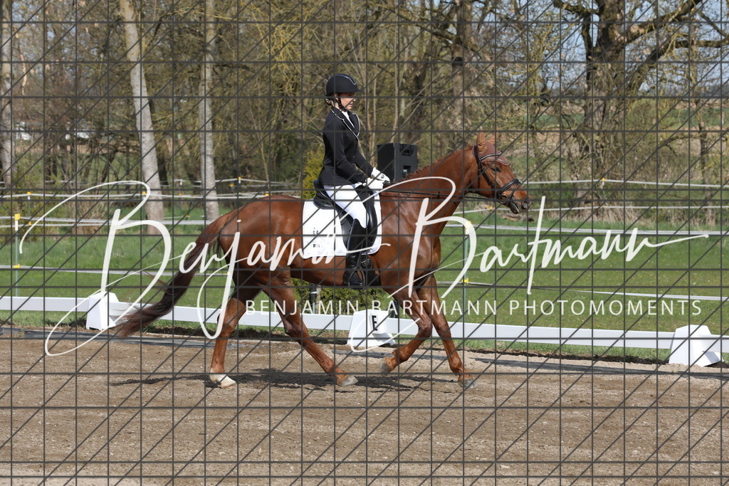 AZ2A2850 | Benjamin Bartmann Photomoments