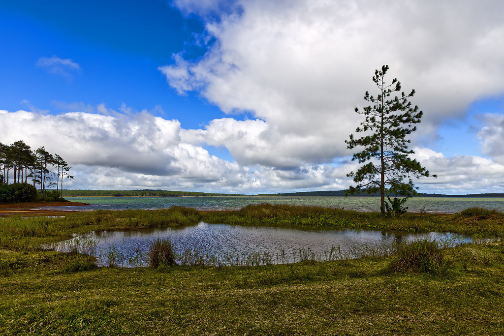 1H5A1475 | ansichtssache