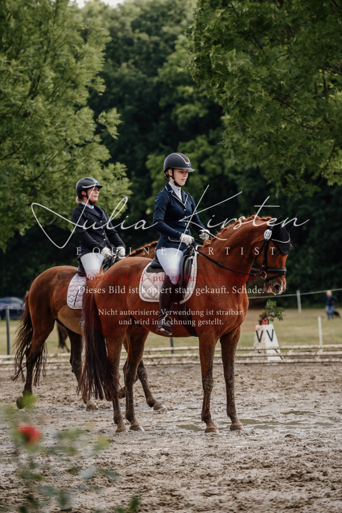 DSC_8975 | Pferde- und Turnierfotografie in Westsachsen. Pferdeportraits, Auftragszeichnungen und intuitive Kunst.