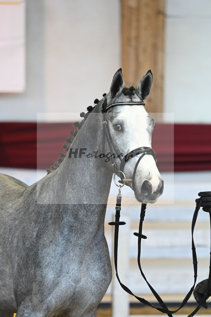 Kat-Nr. 54 v. Vingino_Stahl_66221441 | hf-fotografie - Realisiert mit Pictrs.com
