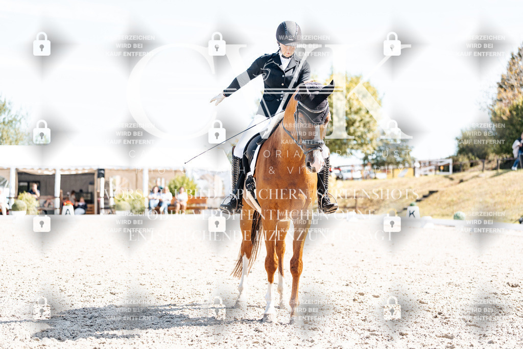 CK909525 | Turnierfotografie Pferdefotografie Trier Rheinland-Pfalz Pferdesport Reitsport Tierfotografie Sportfotografie Pferdevideo Pferdevideografie Equestrianvideography equestrianphotography  - Realisiert mit Pictrs.com