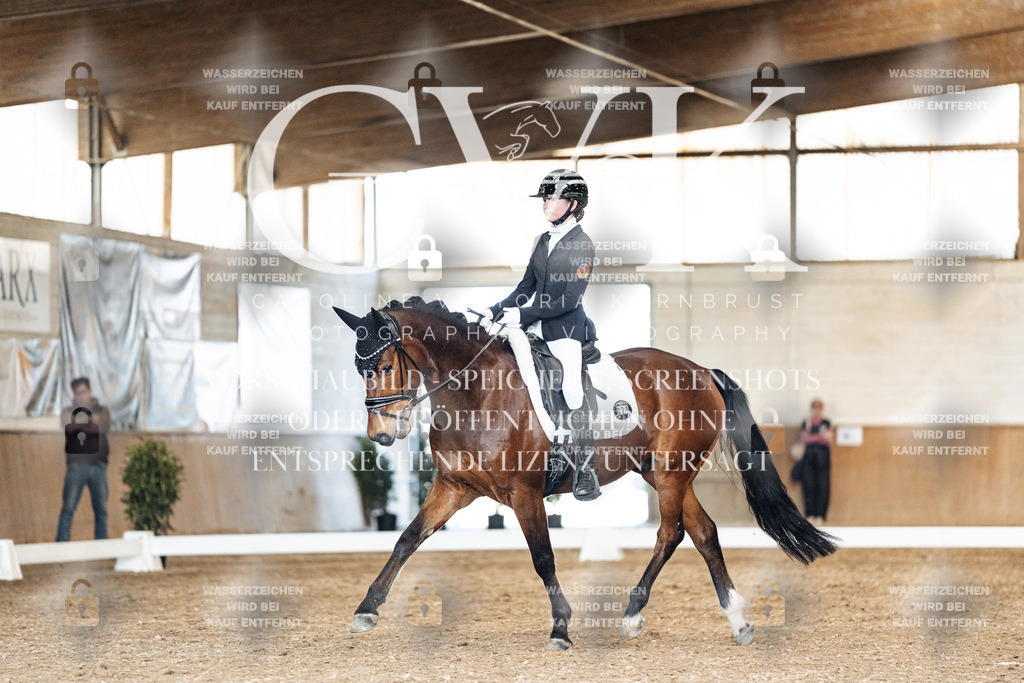 CK901454 | Turnierfotografie Pferdefotografie Trier Rheinland-Pfalz Pferdesport Reitsport Tierfotografie Sportfotografie Pferdevideo Pferdevideografie Equestrianvideography equestrianphotography  - Realisiert mit Pictrs.com