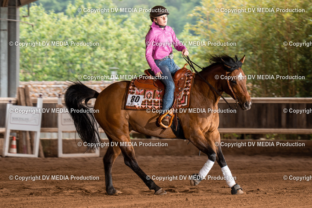 Erbach Tag 2-850 | dv-media-shop - Realisiert mit Pictrs.com