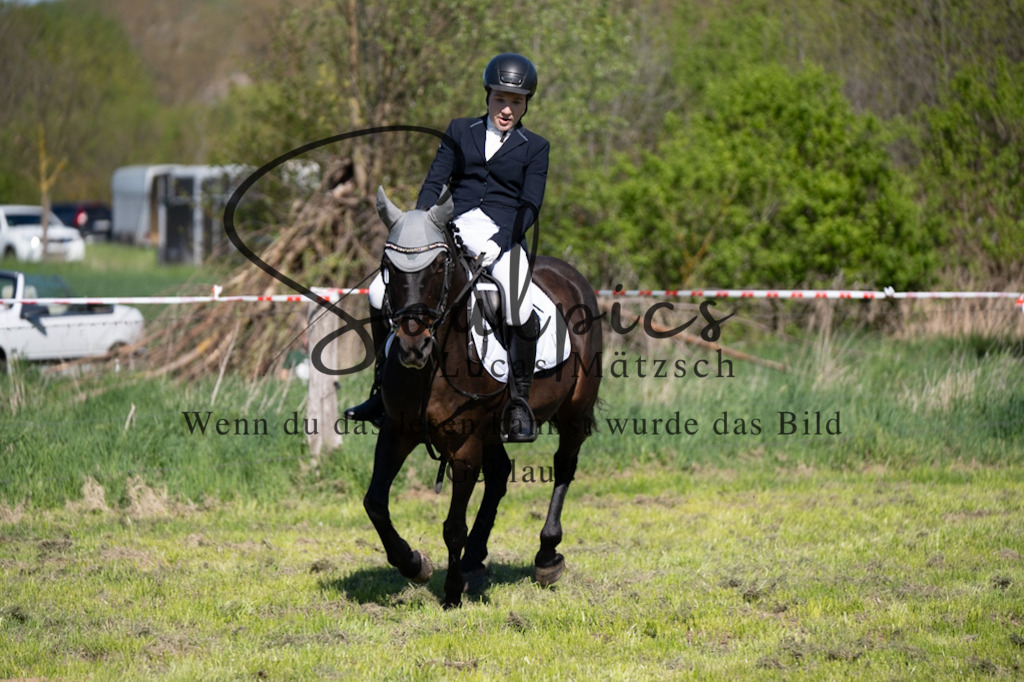 A7V01428 | Pferdefotograf