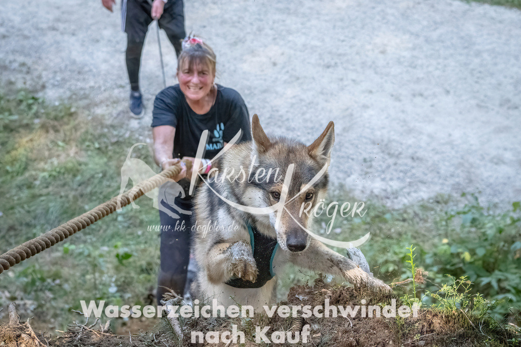 1138_ZZ91160 | kk-dogfotos