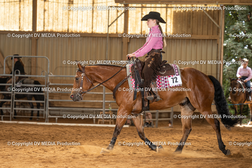 NID01565 | dv-media-shop - Realisiert mit Pictrs.com