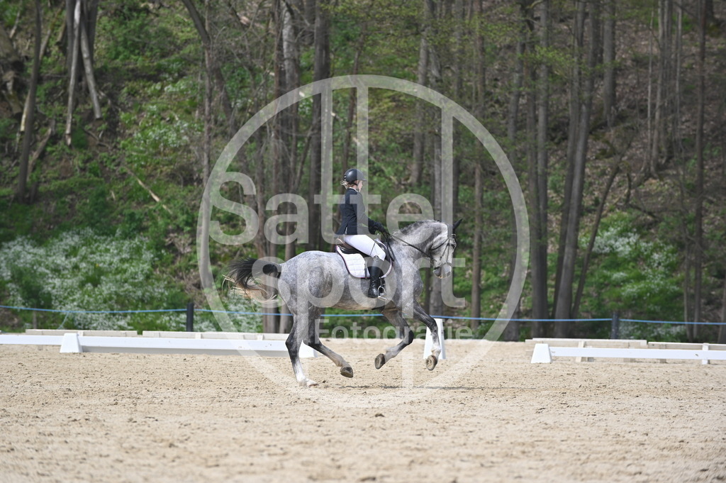 DSC_3576 | sattelsport - Realisiert mit Pictrs.com