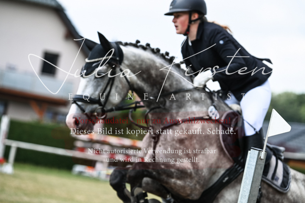 DSC_8935 | Pferde- und Turnierfotografie in Westsachsen. Pferdeportraits, Auftragszeichnungen und intuitive Kunst.