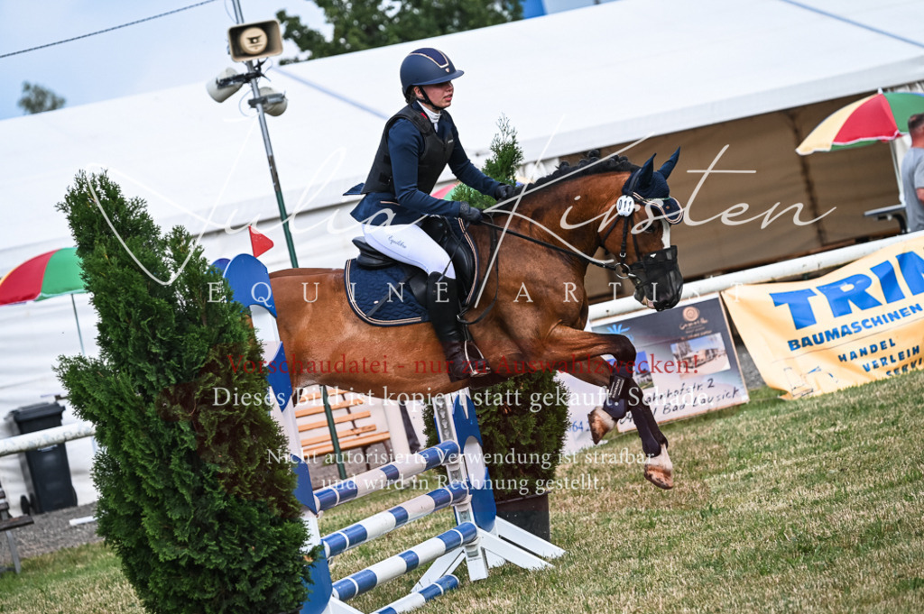 DSC_8212 | Pferde- und Turnierfotografie in Westsachsen. Pferdeportraits, Auftragszeichnungen und intuitive Kunst.