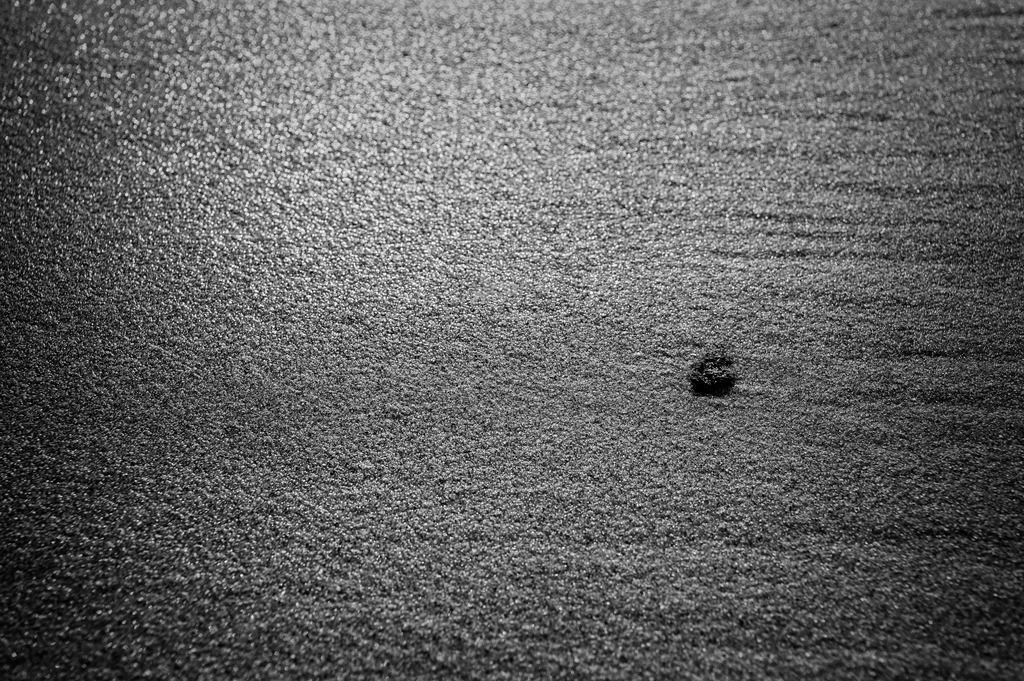 2024_03_08_HETLINGER SCHANZE_MCP7075 sw | Hochwertig gedruckte Fotografien für die Wand, als Kalender und zum Verschenken. Hamburg & Norddeutschland und überall wo ich mit der Kamera unterwegs war.