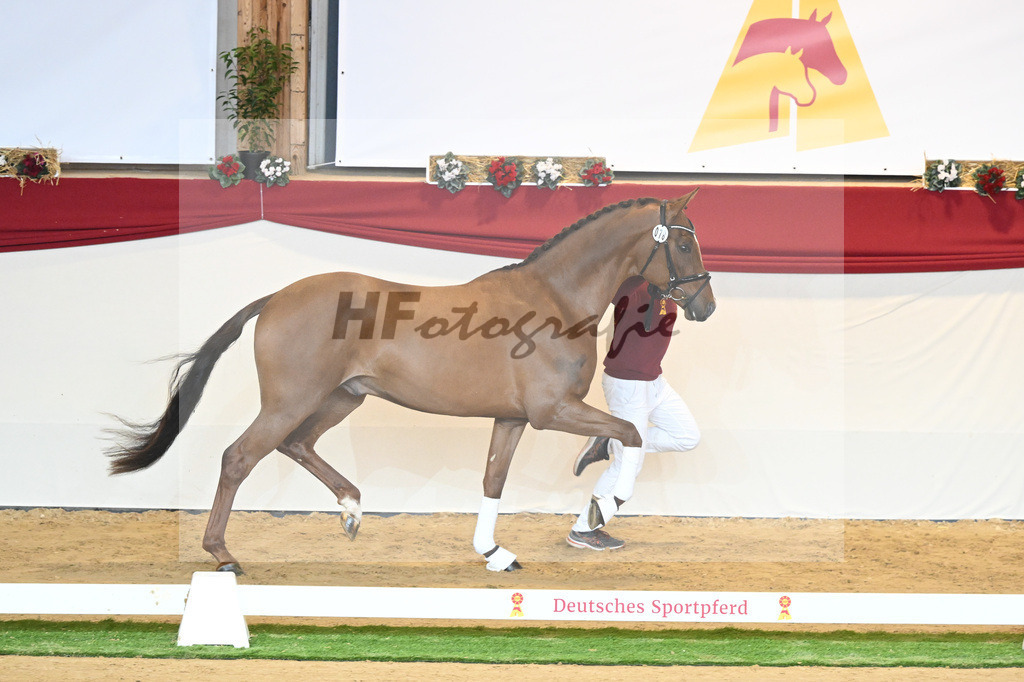 Kat-Nr. 78 Viva Gold_Casper u Eulich_1230475 | hf-fotografie - Realisiert mit Pictrs.com