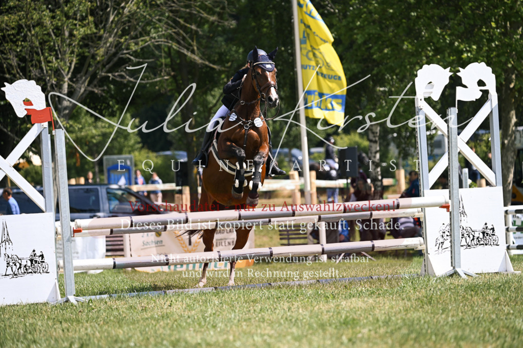 DSC_9005 | Pferde- und Turnierfotografie in Westsachsen. Pferdeportraits, Auftragszeichnungen und intuitive Kunst.