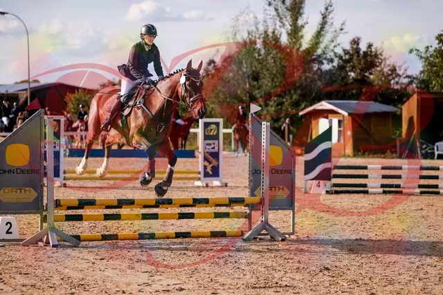 2026_10_03_Siefer-Hof_155538_Z81_74861552 | Professionelle Reitsport-, Turnier- und Eventfotografie von Robert Broda. Galerien mit ausgewählten und bearbeiteten Bildern direkt online ansehen und bestellen.