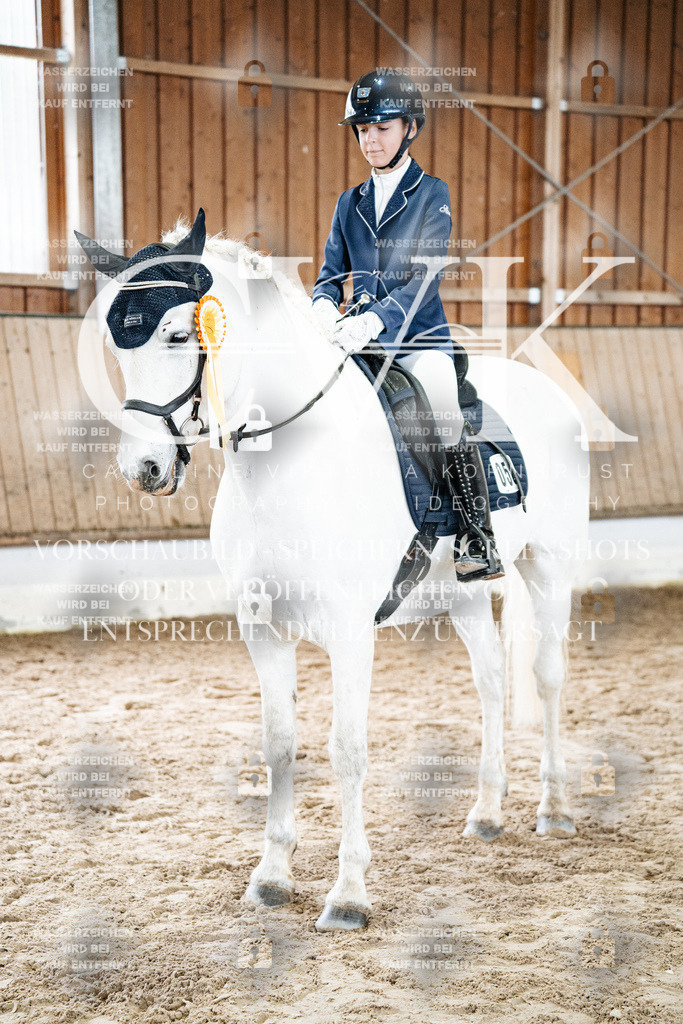 CK703434 | Turnierfotografie Pferdefotografie Trier Rheinland-Pfalz Pferdesport Reitsport Tierfotografie Sportfotografie Pferdevideo Pferdevideografie Equestrianvideography equestrianphotography  - Realisiert mit Pictrs.com