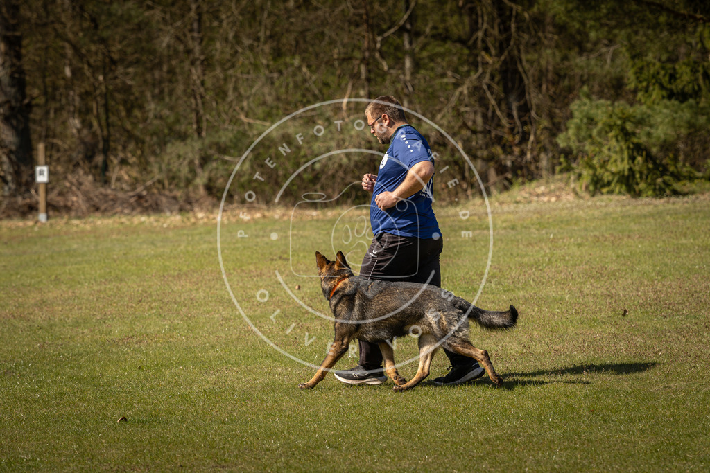 Pfotenfotografie_DV3A0824 | Hundefotografie, Tierfotograf, Pfotenfotografie, Fotoshooting Hund, Hunde Portrait, Hundesport, Hundeportraits, Heideshooting, Hunde, Sportfotograf, Hundefotograf, Turnierhundsport, THS,  - Realisiert mit Pictrs.com