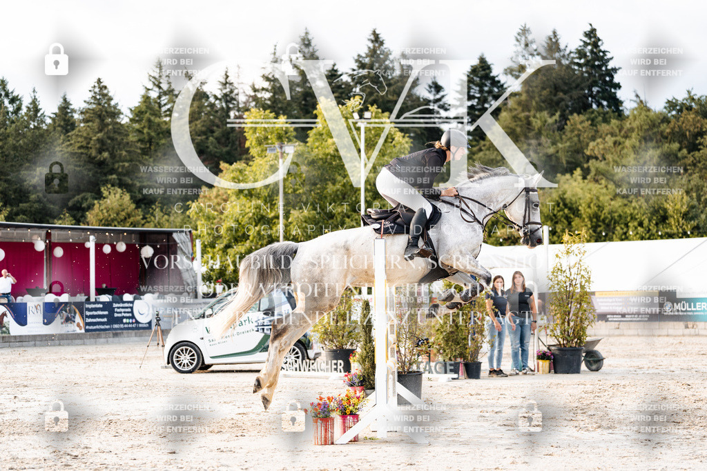 CK903651 | Turnierfotografie Pferdefotografie Trier Rheinland-Pfalz Pferdesport Reitsport Tierfotografie Sportfotografie Pferdevideo Pferdevideografie Equestrianvideography equestrianphotography  - Realisiert mit Pictrs.com