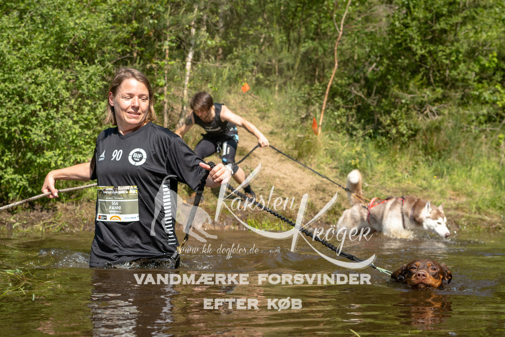 1014DKK990256 | kk-dogfotos