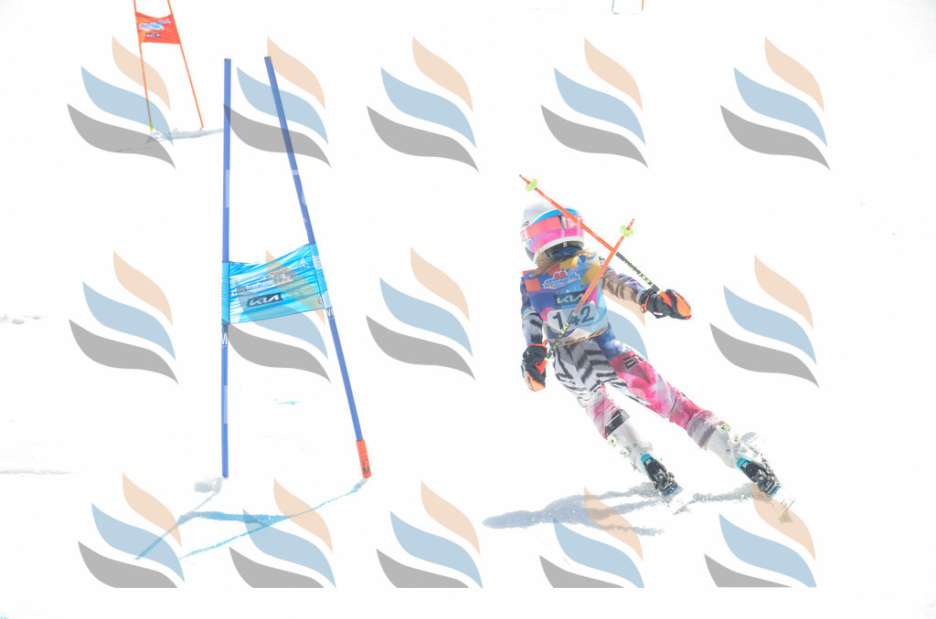 _ELE6242 | holidayphoto