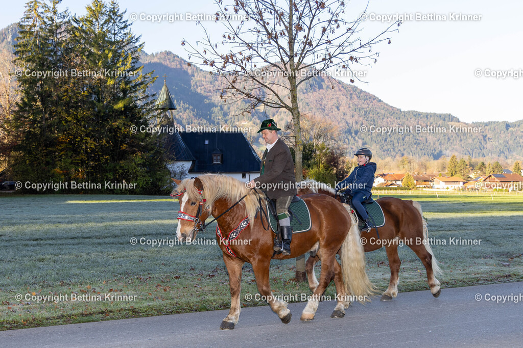 LL24-105 | foto-bettina-krinner - Realisiert mit Pictrs.com