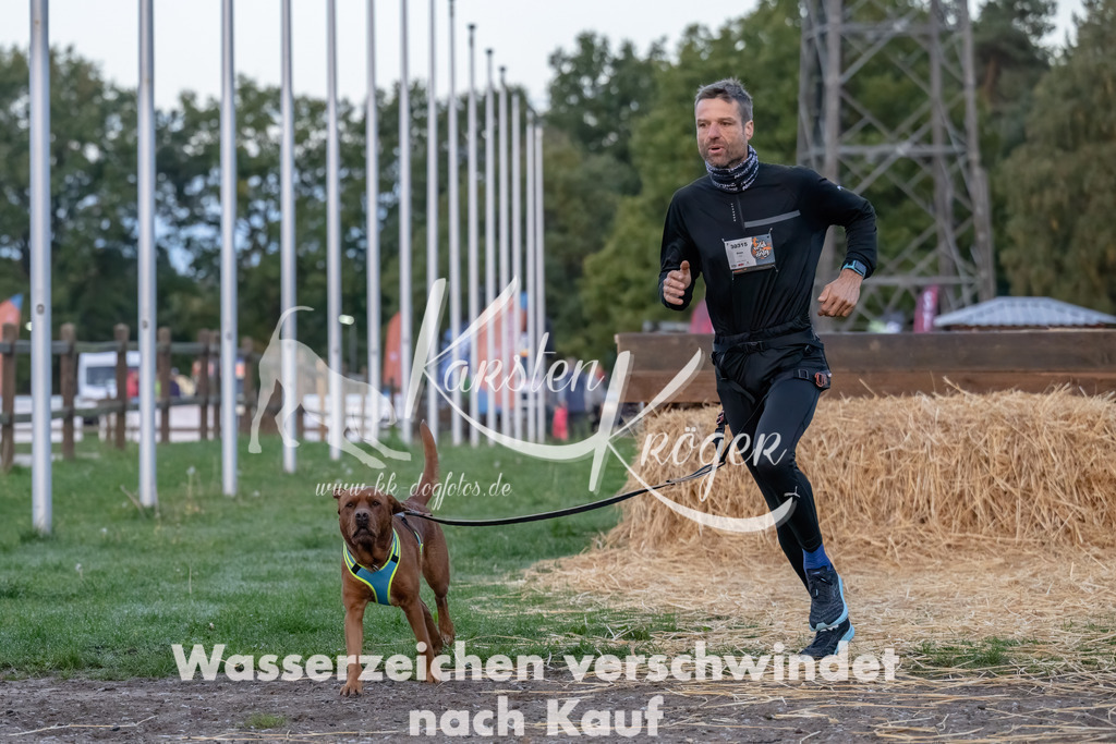 0802_ZZ94025-Bearbeitet | kk-dogfotos